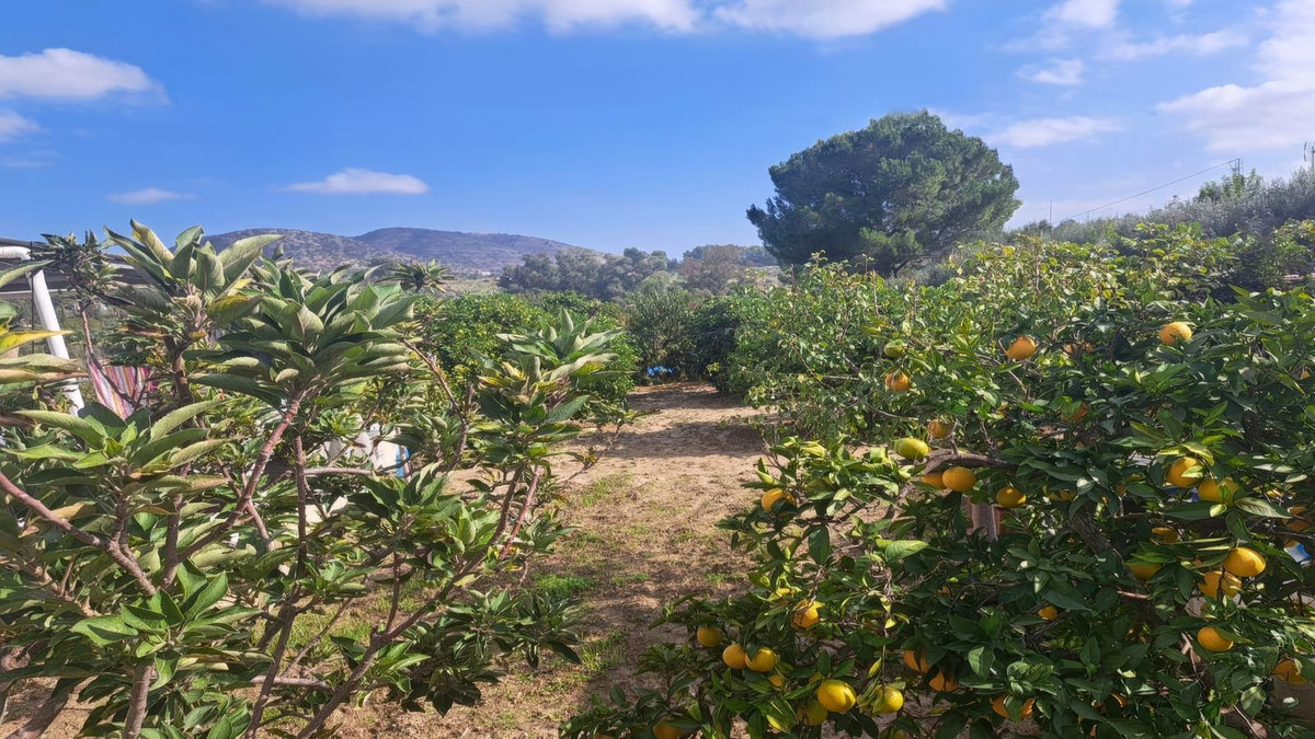 4e094b6023e99225a7b78bfcfbed2008 - 12