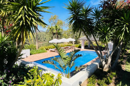 4e912789209f78a19b326acce926a934 - 38