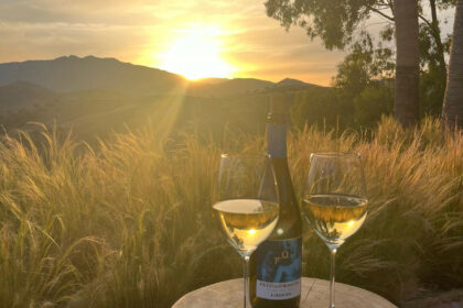 4e912789209f78a19b326acce926a934 - 42