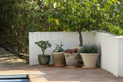 4e912789209f78a19b326acce926a934 - 8