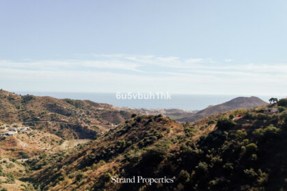 501c2a447c984ac74308615aec98c67f - 23