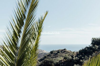 501c2a447c984ac74308615aec98c67f - 28