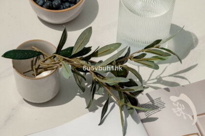 50930bca6ac3afea082052f7e295805b - 32