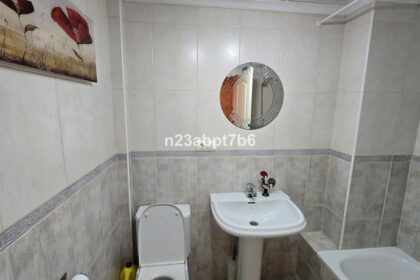 52a364a9324c6500d8dbafeb388b035e - 16