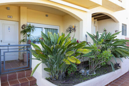 559886751c67b8c55180c9efb739b012 - 1