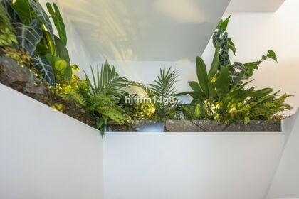 57beecc0a9022fe4ca784f403ee4bb49 - 19