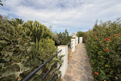 58ddb00424467e53acbd326eee124bff - 12