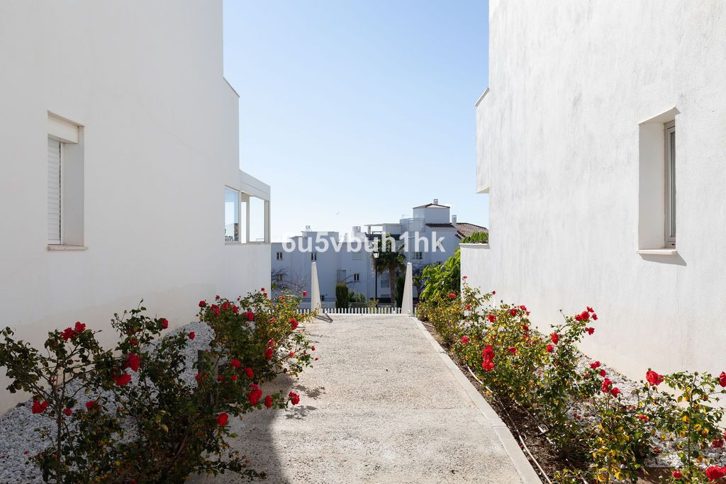 5a7937f2226dad7dd3f4057b74c0f00a - 26