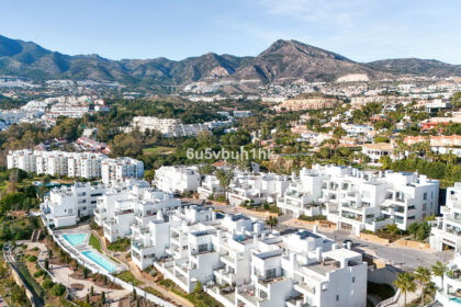 5a7937f2226dad7dd3f4057b74c0f00a - 37