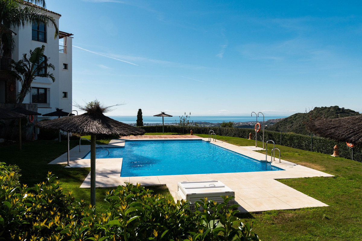 5c94323fdd3a88f479578587a0e5b63a - 24