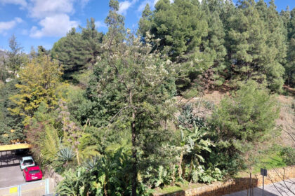 5dbc2d6eb2b9106fac0abaa02e7f0982 - 13