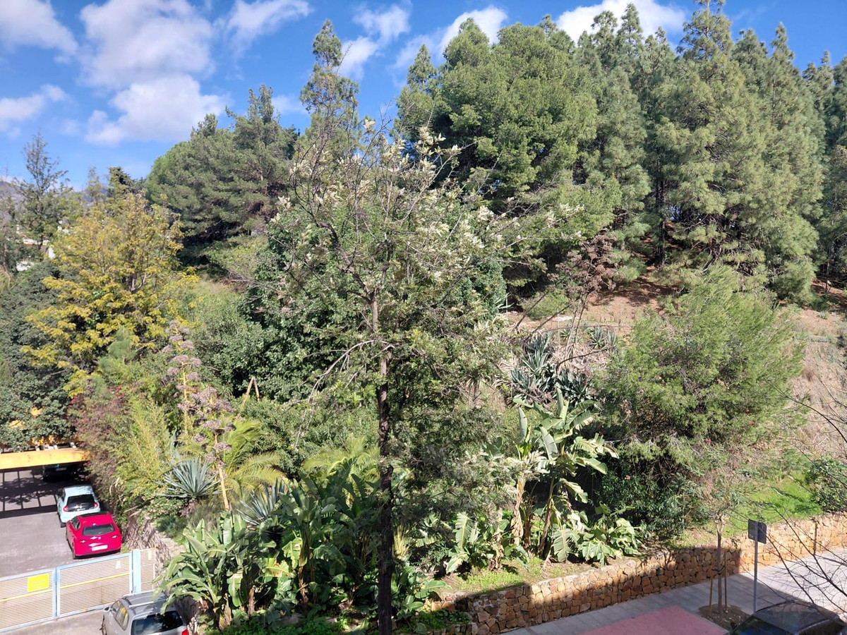 5dbc2d6eb2b9106fac0abaa02e7f0982 - 13