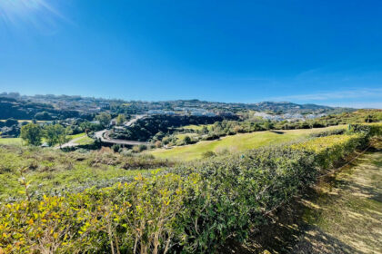 5dde072379db00f64bed5605e792d549 - 17