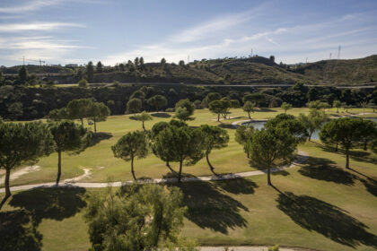 61b35992056058475afd655c2b21a0cf - 27