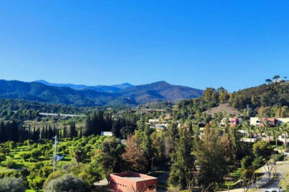 63ae3677e158be3233c42267c4bc32bb - 49