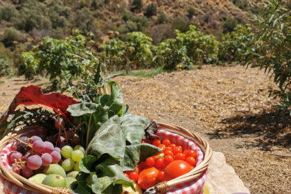 63e51f60becebf479faf4ecf0b363d0b - 47