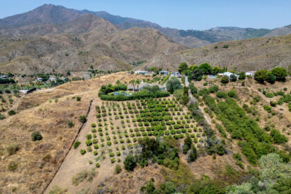 63e51f60becebf479faf4ecf0b363d0b - 49