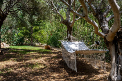 63e51f60becebf479faf4ecf0b363d0b - 50