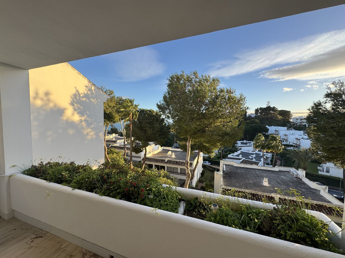 6432e80701729a8f70ab6bcdf276cd68 - 5