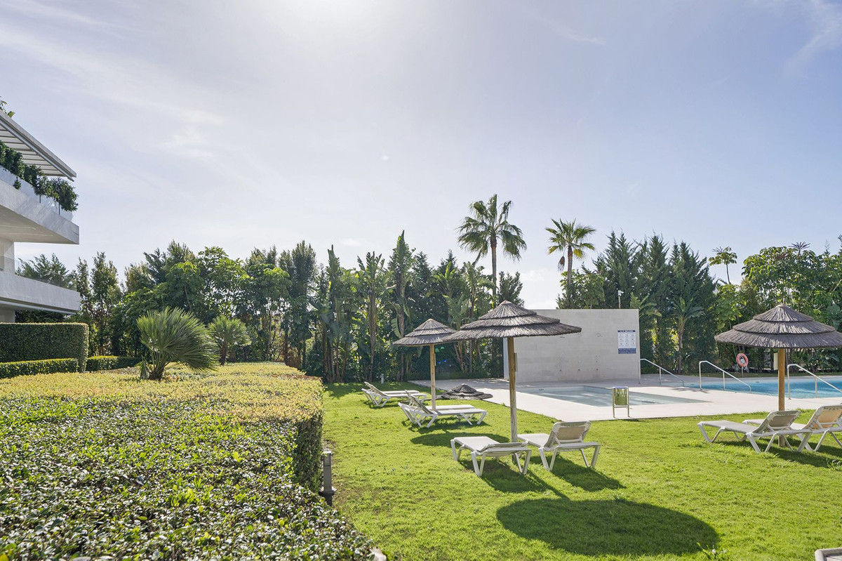 648ee2b4f250c2c63df690858c8555b5 - 43