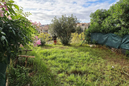 64da464de244701efe7dbd1fab0dcb74 - 28