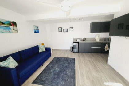 67c5b0f7582f34a3d91d5e4dd9484d54 - 48