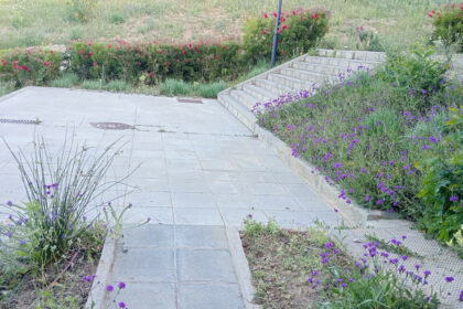 68f032e81077bb30f7dd0fec20073d0a - 22