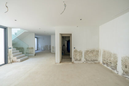 6924ca231a2cee6a062a94eadc3b6e82 - 21