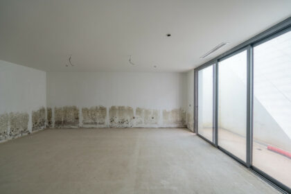 6924ca231a2cee6a062a94eadc3b6e82 - 22