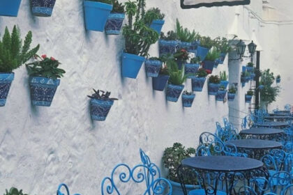 693670a82d48db16b8b0373b9c23bb2b - 18