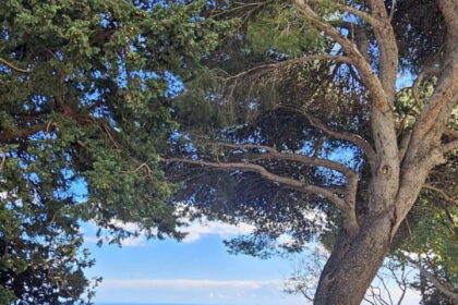 693670a82d48db16b8b0373b9c23bb2b - 19