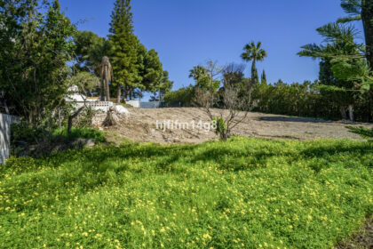 7013f6f4c39083fa0823fb91cbd28d35 - 11