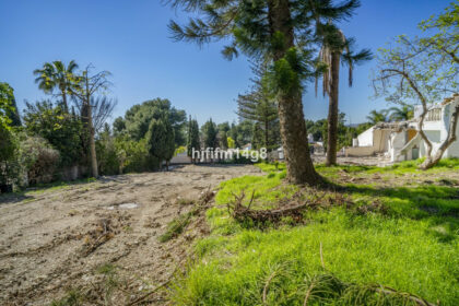 7013f6f4c39083fa0823fb91cbd28d35 - 12