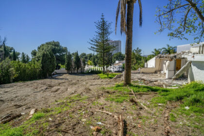 7013f6f4c39083fa0823fb91cbd28d35 - 13