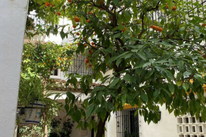 70ffbe31d774e99624f53fa1756d76e4 - 15