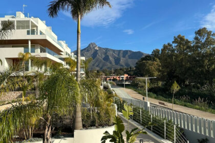 71915b675496db665844fb4261e20c26 - 31