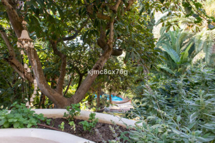 7273c0f51e534cf647dc171f0bf2422c - 45