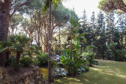 7273c0f51e534cf647dc171f0bf2422c - 47