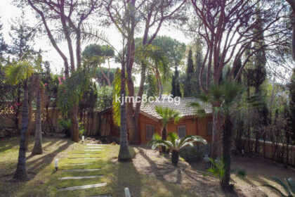 7273c0f51e534cf647dc171f0bf2422c - 54