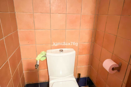 745d8282c9dc932dd9541a06bdd71734 - 12