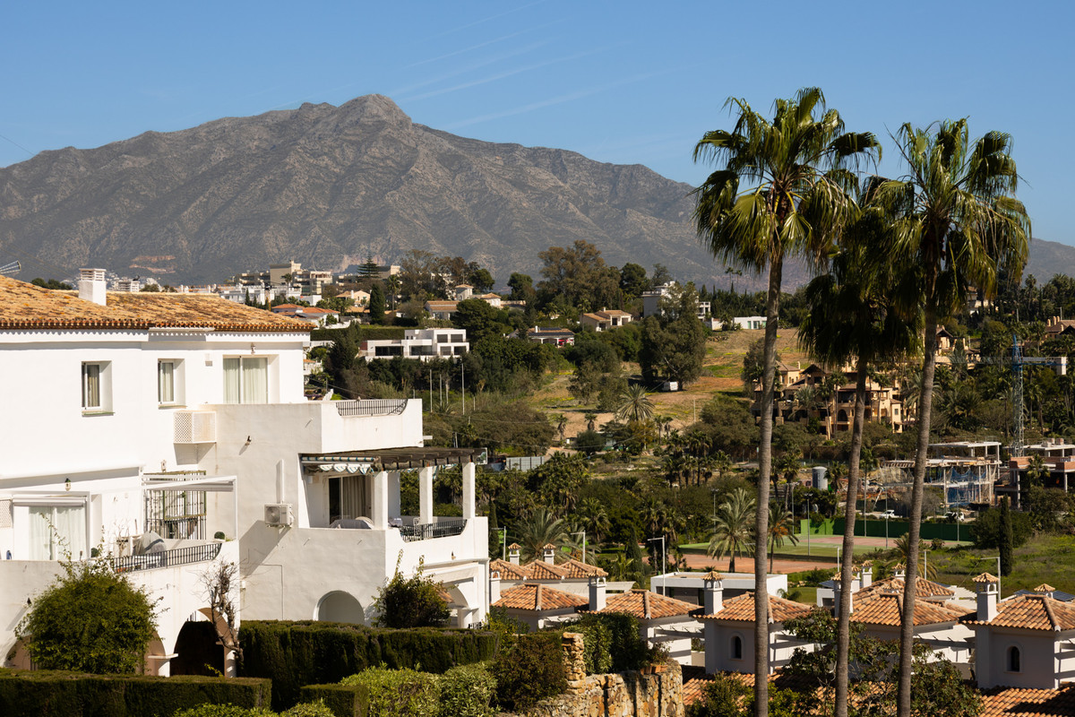 74cb6c35eeef1ae2f071d7783ae9eb7b - 26