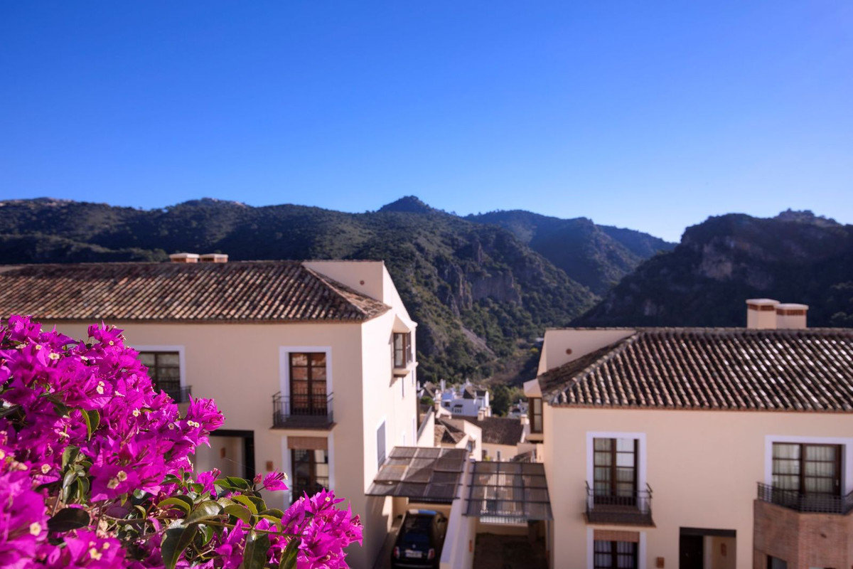 7a4af4d0c5904f2ad813217683c5e541 - 1