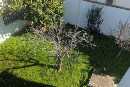 7bdcbdd0e56968bb8af1811934dc49dd - 63