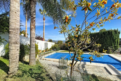 832cc3b636e197b1d76f4ff7fb1ba0ce - 45