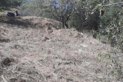 85e3f7882fbb7275a98a0d8f2ba52d4c - 1