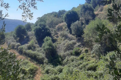 85e3f7882fbb7275a98a0d8f2ba52d4c - 2