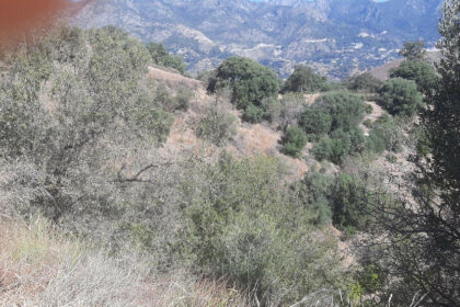 85e3f7882fbb7275a98a0d8f2ba52d4c - 3