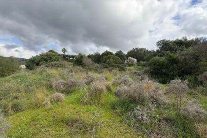 88f6e126ba02dcf8868dcdeb8f89a302 - 24