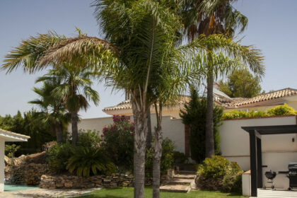 8ac79600bc8d96259de968728dd67e32 - 37