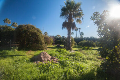 8b5e16cf52a9f9996e479969c809fa83 - 42